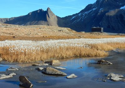 © Copyright Muttseehütte SAC | Bild Anita Gubler